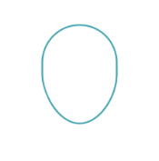 Icon customer
